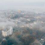 5 biljaka koje možete uzgajati kod kuće i koristiti u ishrani