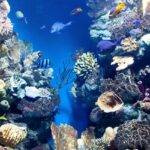 Kako prepoznati emocionalno nezrelu osobu (i zaštititi sebe)