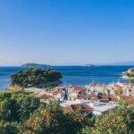 Veliki koralni greben pred kolapsom: Izbjeljivanje korala najgore u istoriji mjerenja